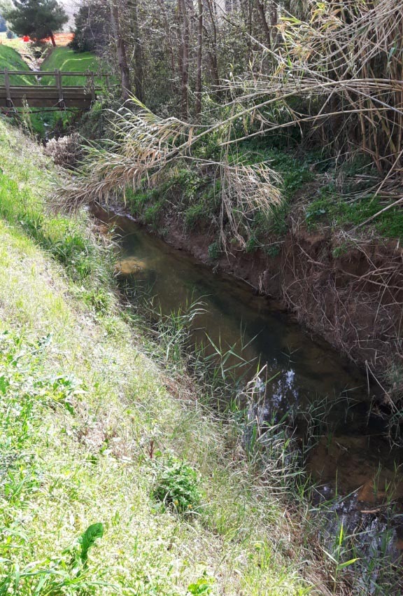 I fossi e lo stagno di Baratti (Piombino - LI)